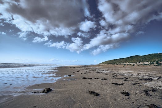 Serene beach scene at Donegal, Ireland, showcasing coastal dunes and a vivid natural landscape.