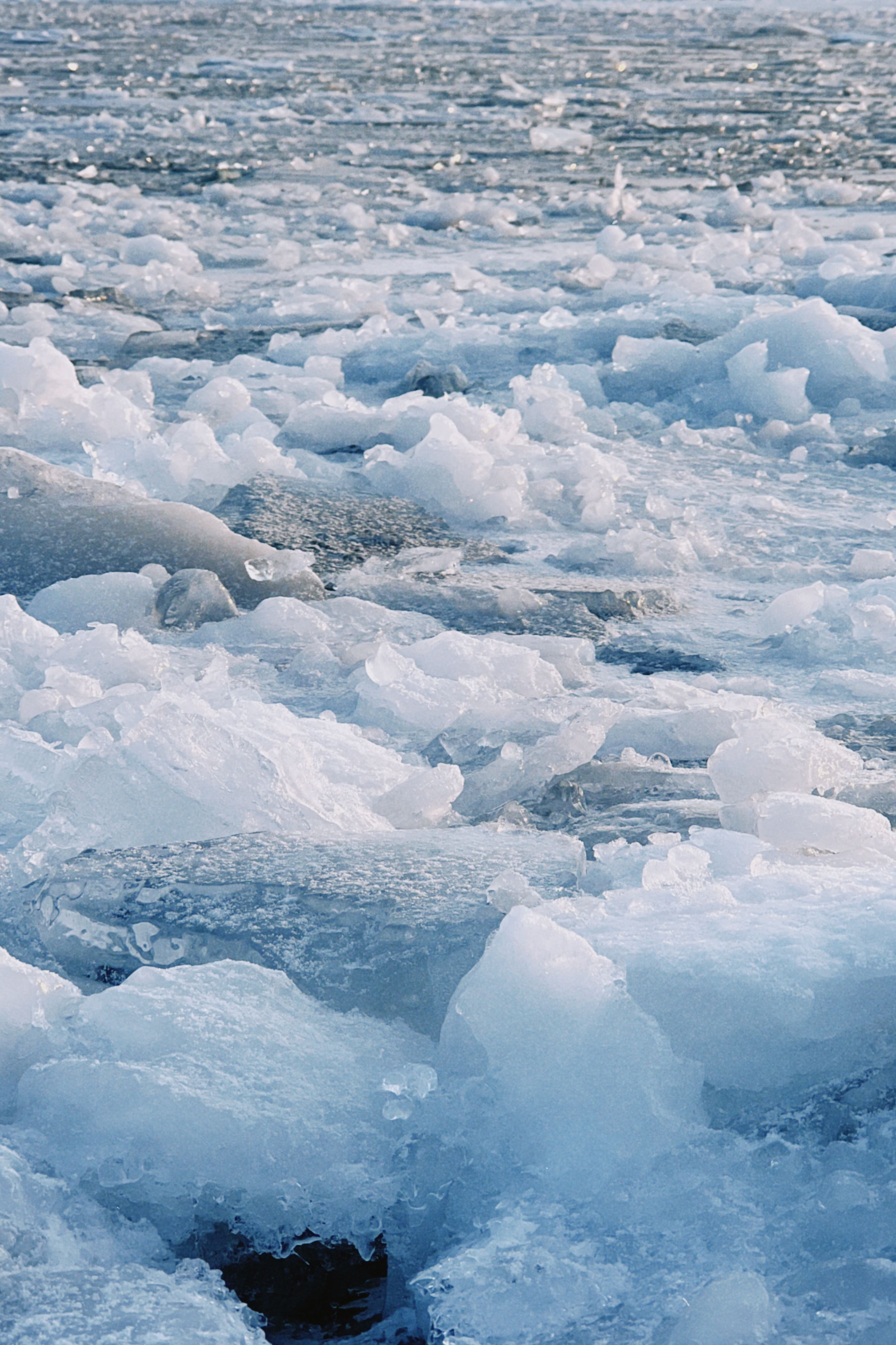 Fotomural Vista serena de témpanos de hielo flotando en aguas frías, evocando la tranquilidad invernal.