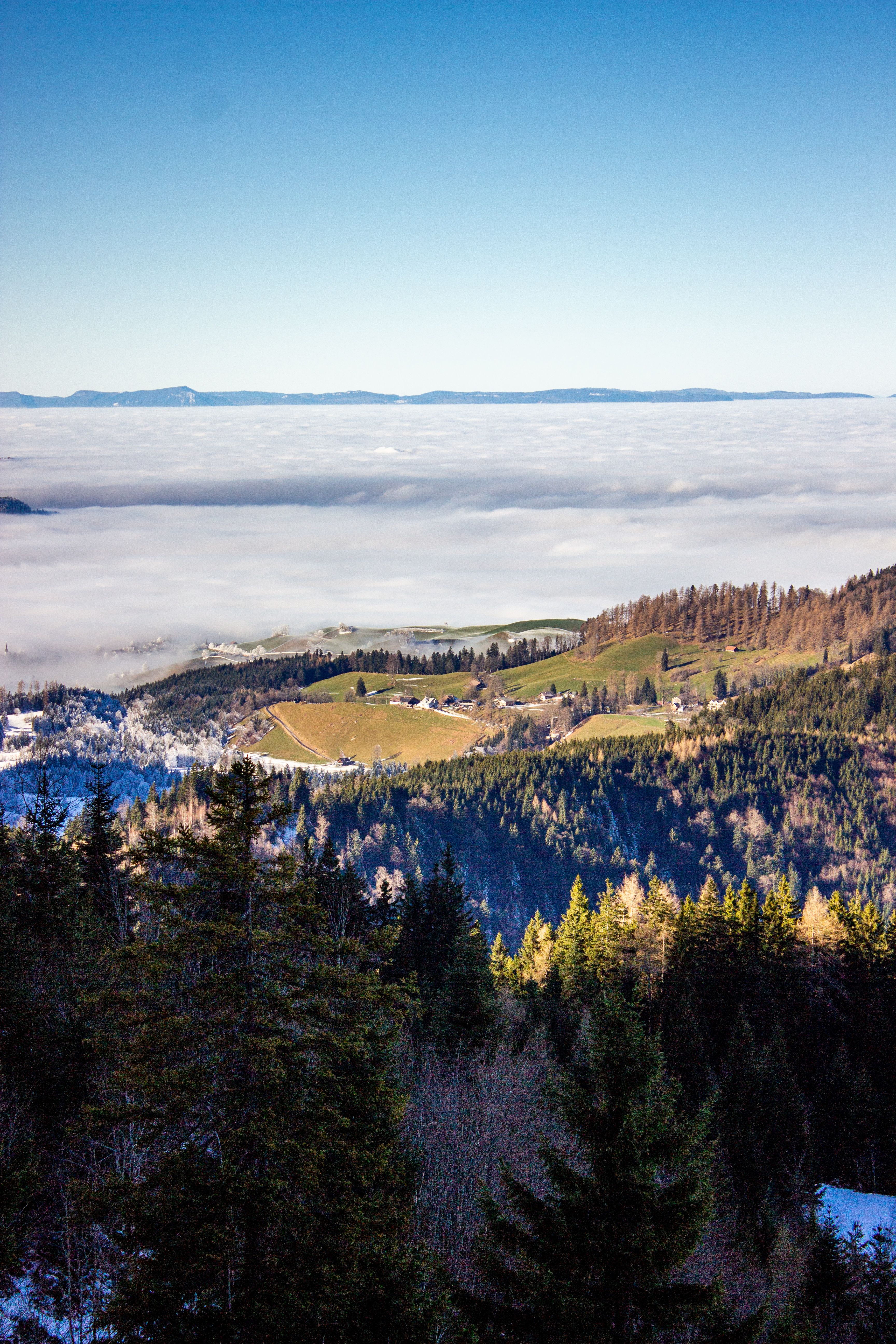 Stunning Alpine Landscape with Mountain and Valley · Free Stock Photo