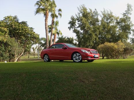 A luxurious red car parked on a lush green golf course surrounded by palm trees.