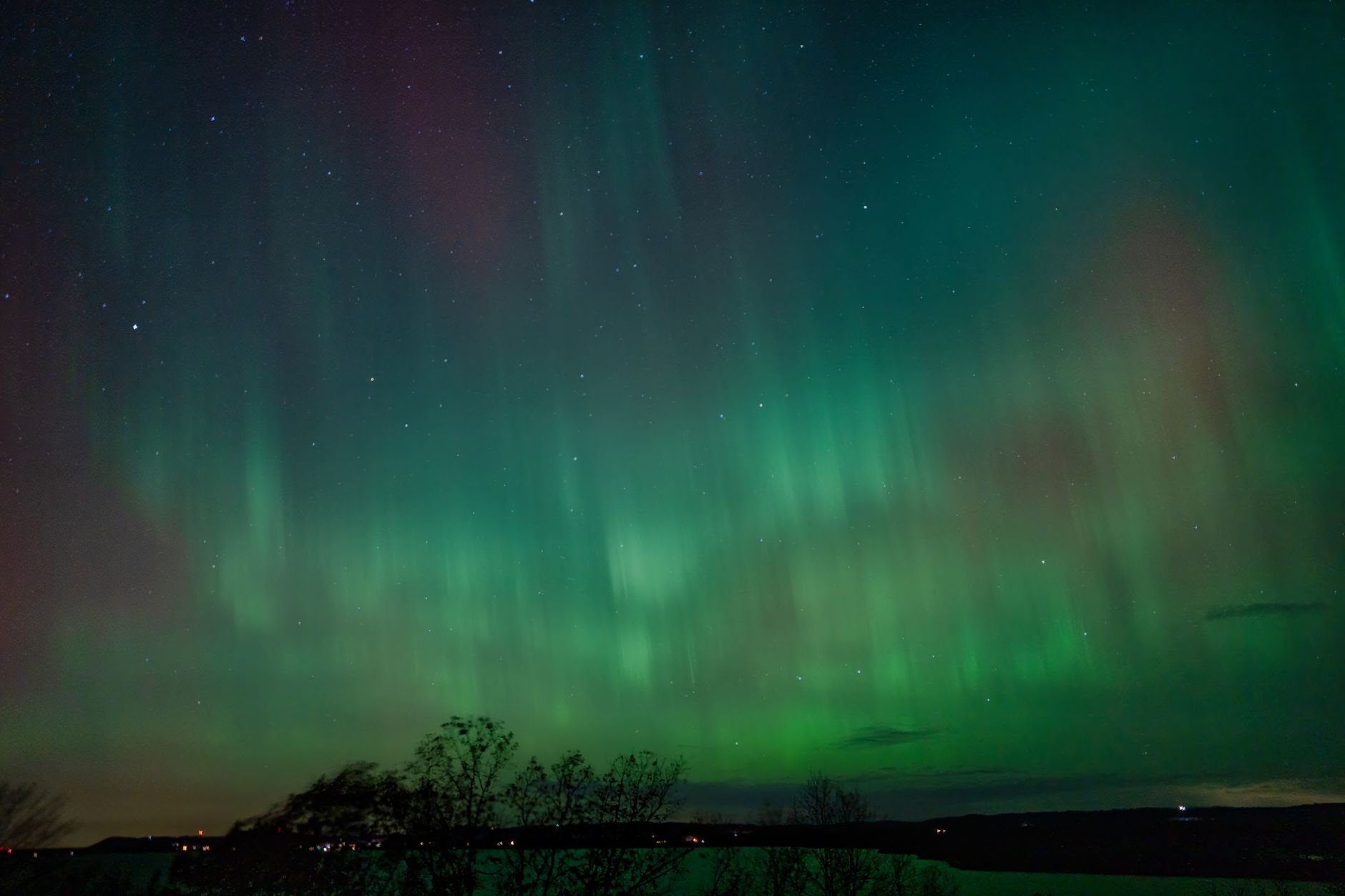 aurora forecast