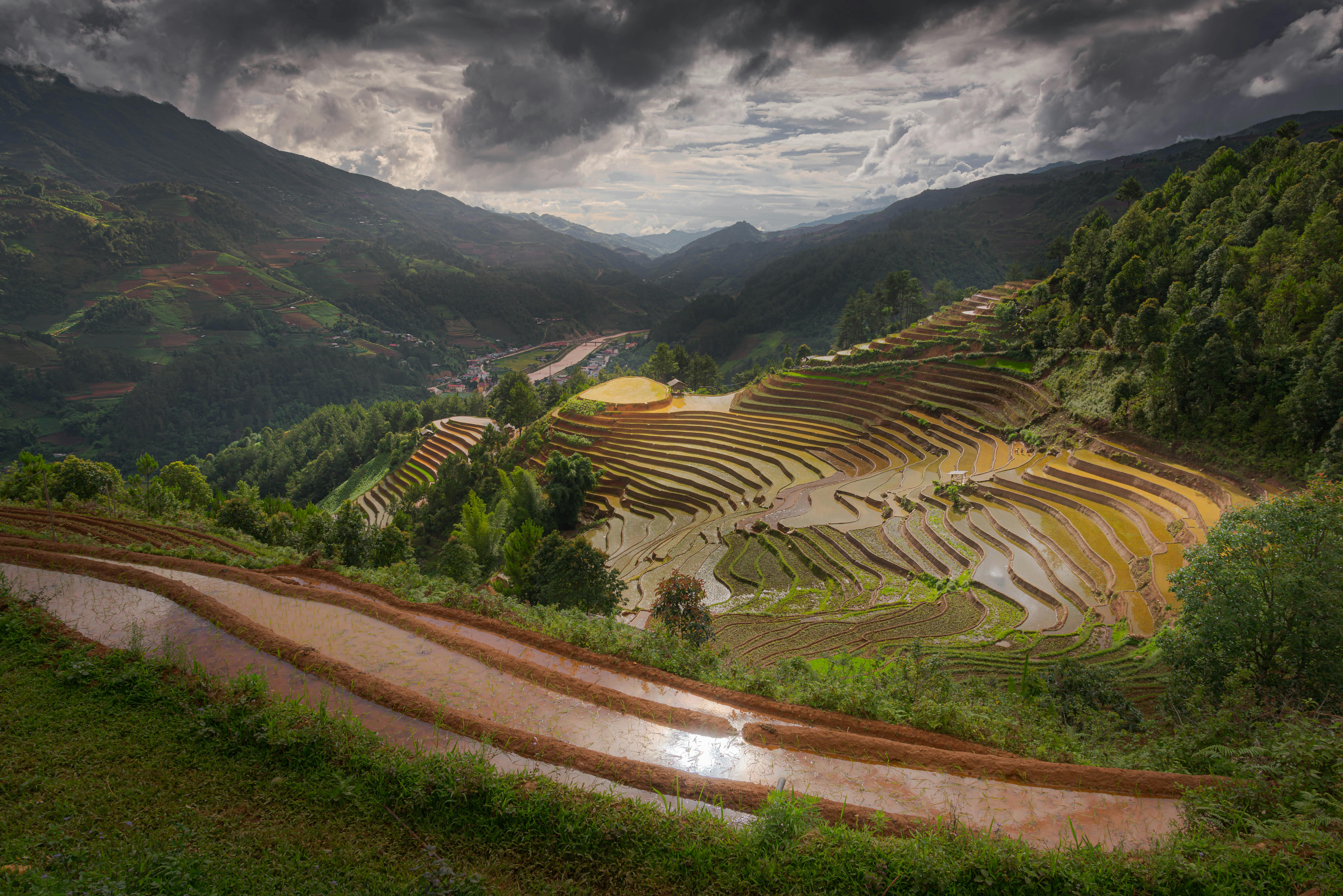 Dramatic view of terraced rice fields in a lush, mountainous area under a cloudy sky.