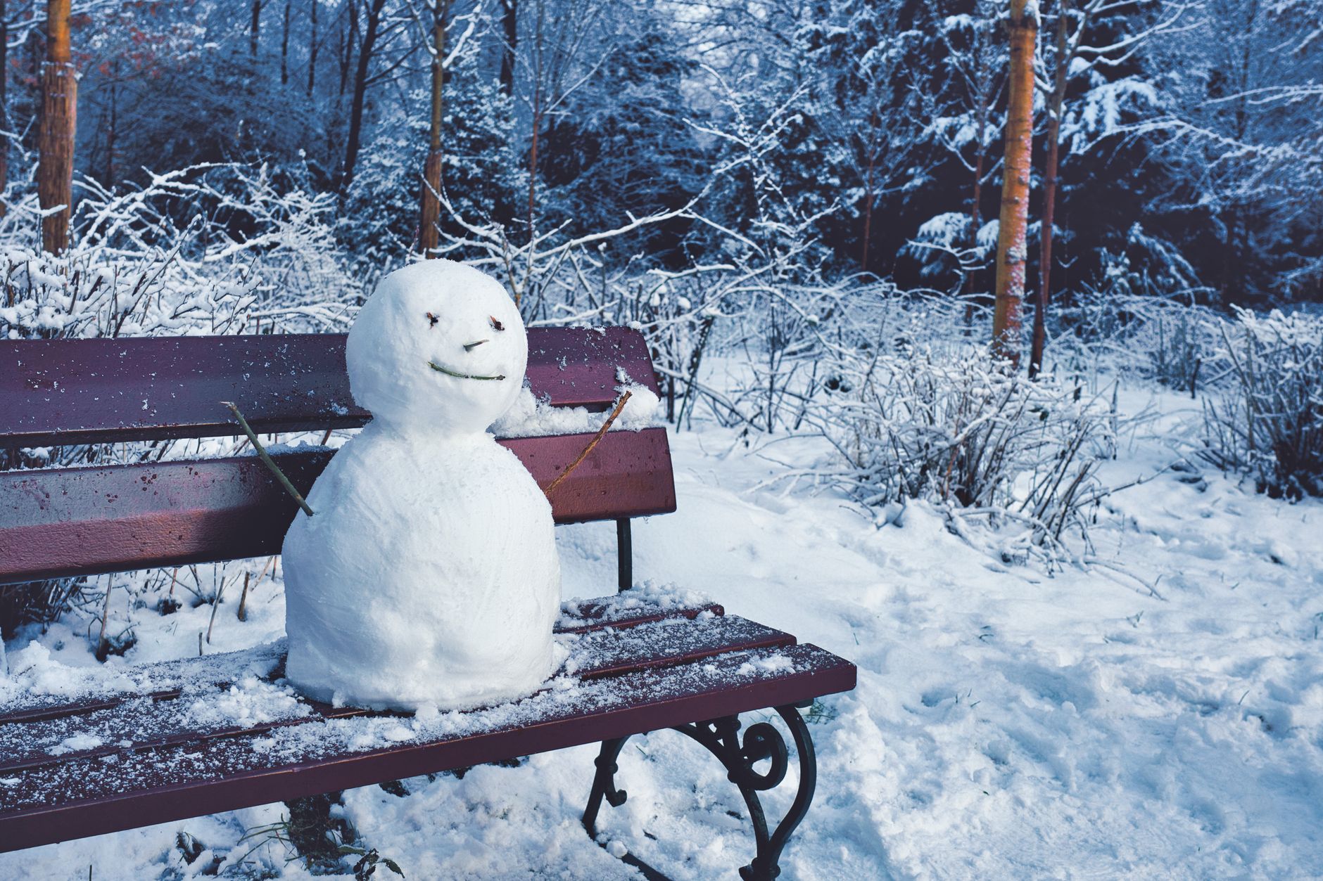 The Snowman