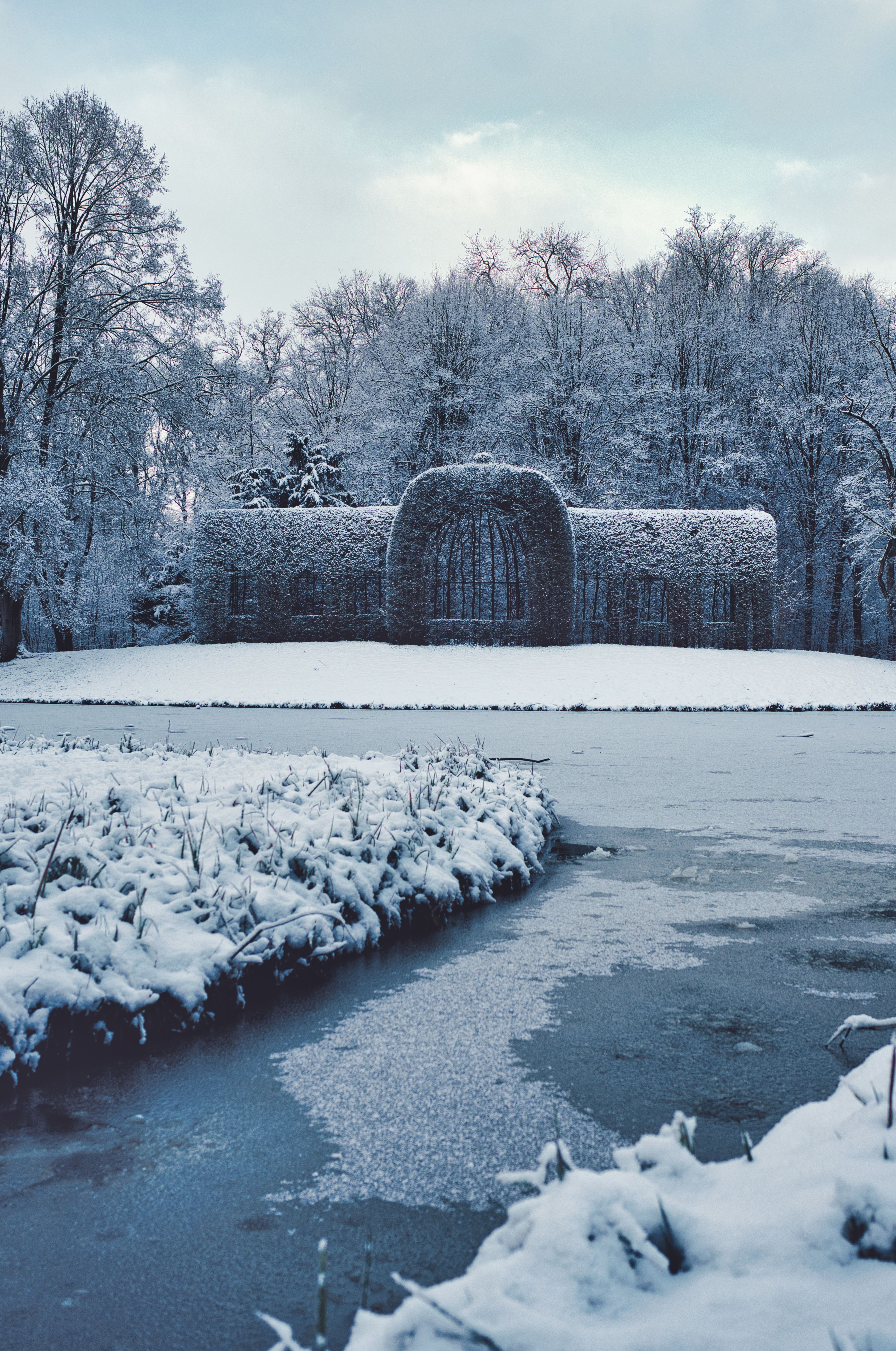 Snowy Landscape with Icy Pond and Frozen Trees · Free Stock Photo