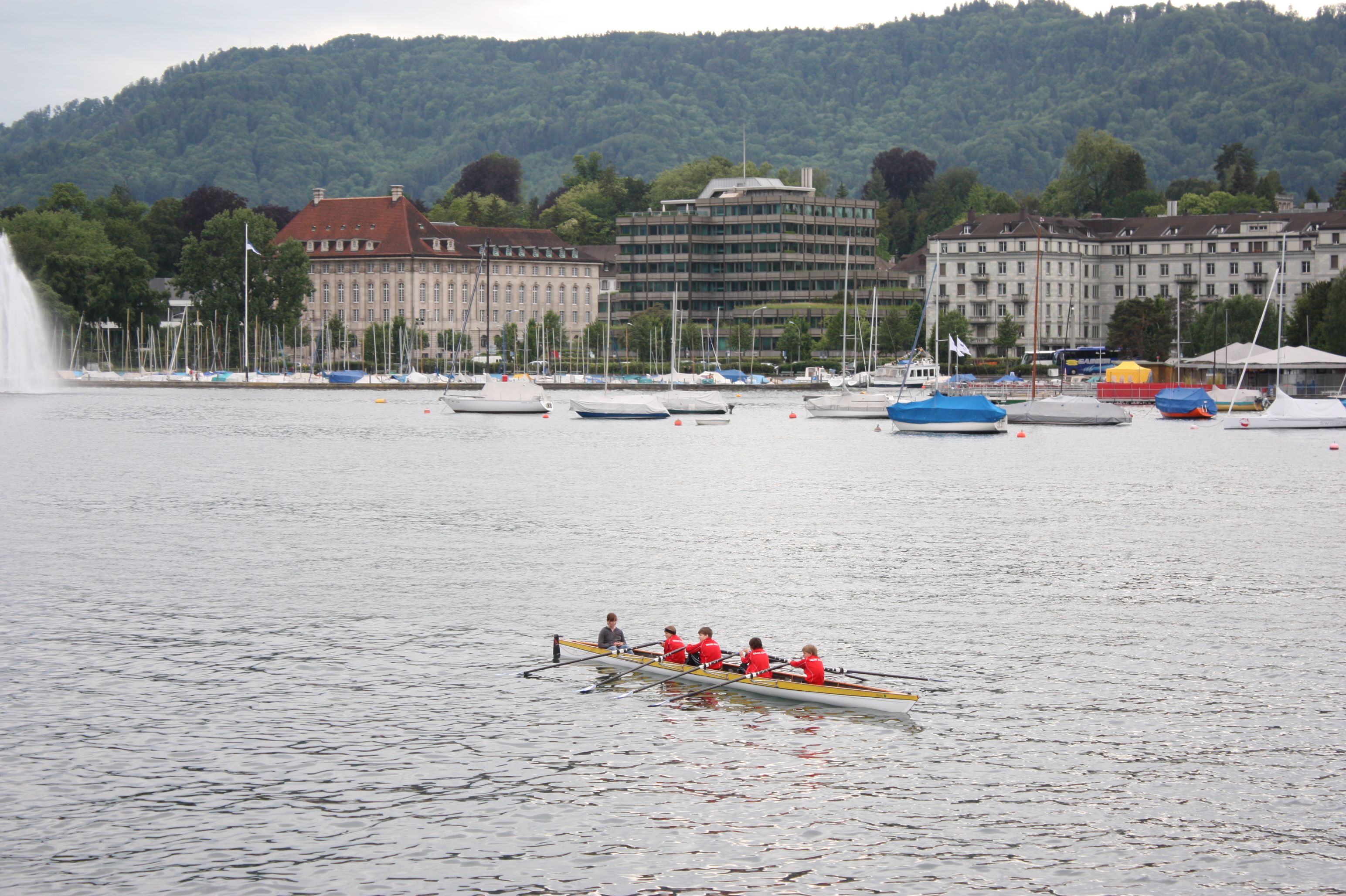 Team Rowing on Lake with Scenic Mountain View · Free Stock Photo