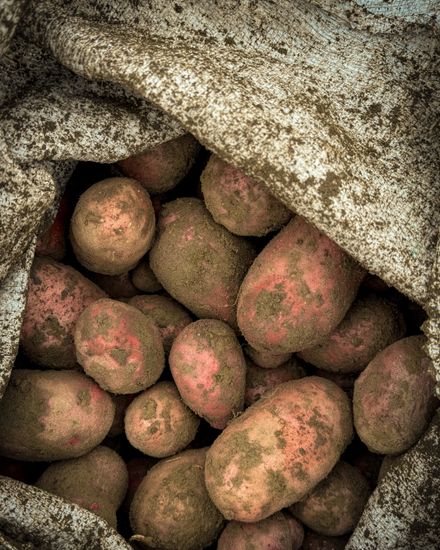 potatoes in burlap