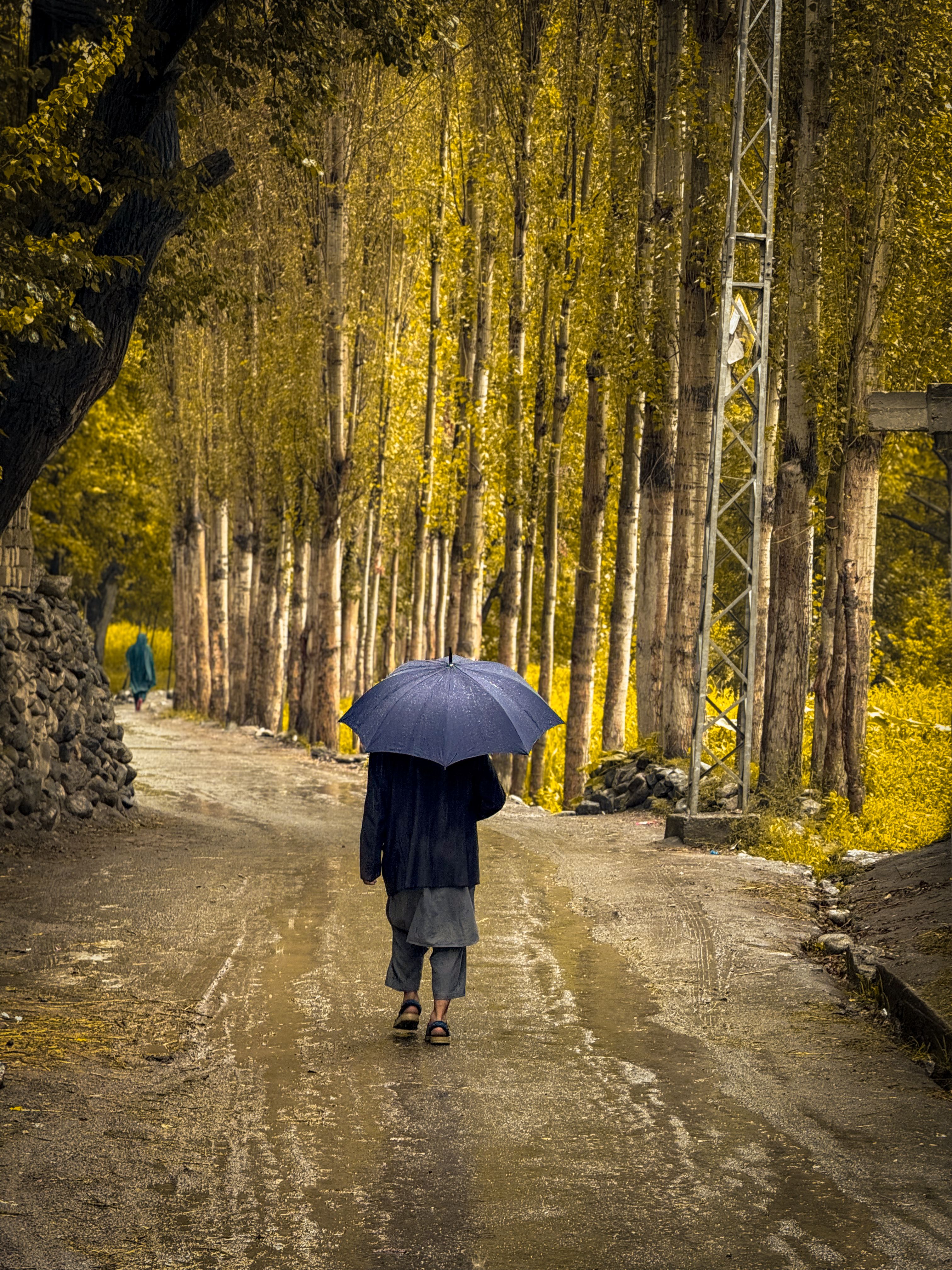 Person Walking with Umbrella on Rainy Day · Free Stock Photo