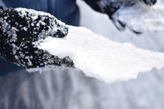 A black winter glove holding snow, standing in for the Ardent Lobster Mitt