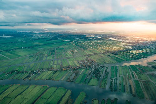 Aerial View of City