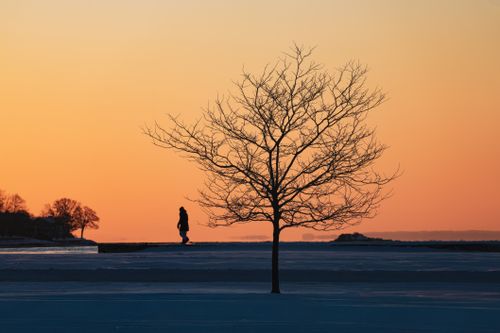 Free A lone figure and bare tree in silhouette against a vibrant winter sunset. Stock Photo