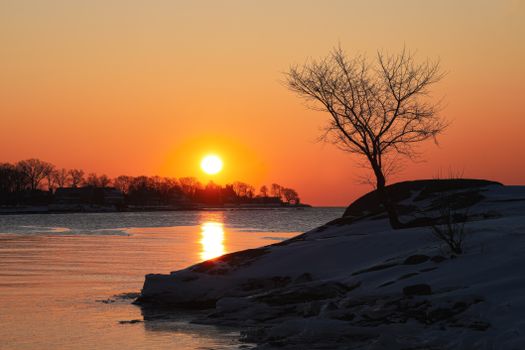 Peaceful winter sunset scene with a silhouetted tree by a calm lake, capturing the vibrant hues of the setting sun.