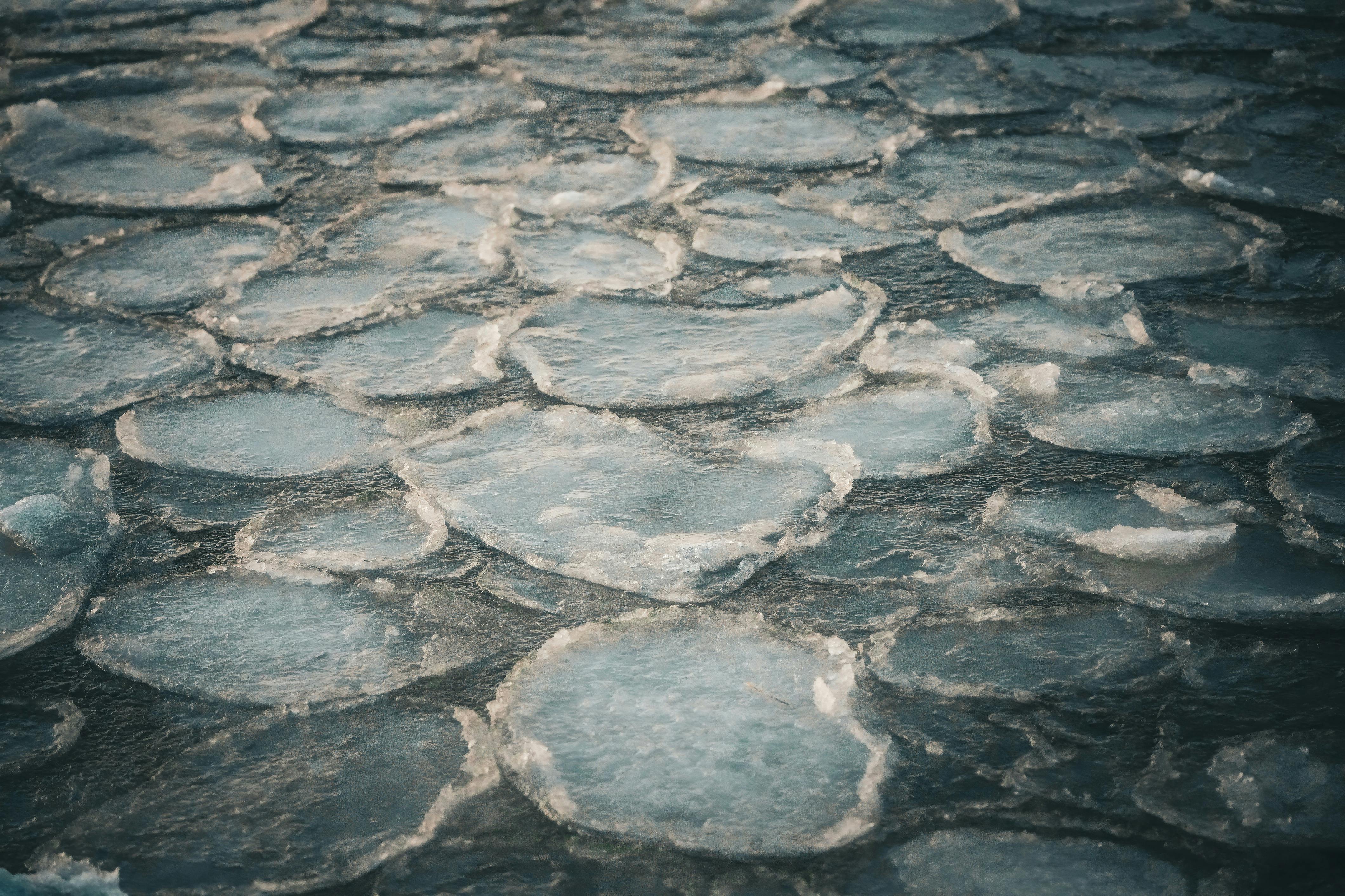 무료 겨울 풍경 속 물 위에 떠 있는 원형의 팬케이크 모양 얼음 조각들을 가까이에서 촬영한 사진. 스톡 사진