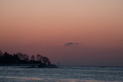 Free Serene winter sunrise view at Cove Island Park, Stamford, Connecticut, with a soft pink sky. Stock Photo