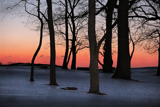 Serene winter sunrise at Cove Island Park in Stamford with snow-covered trees and a vibrant sky.