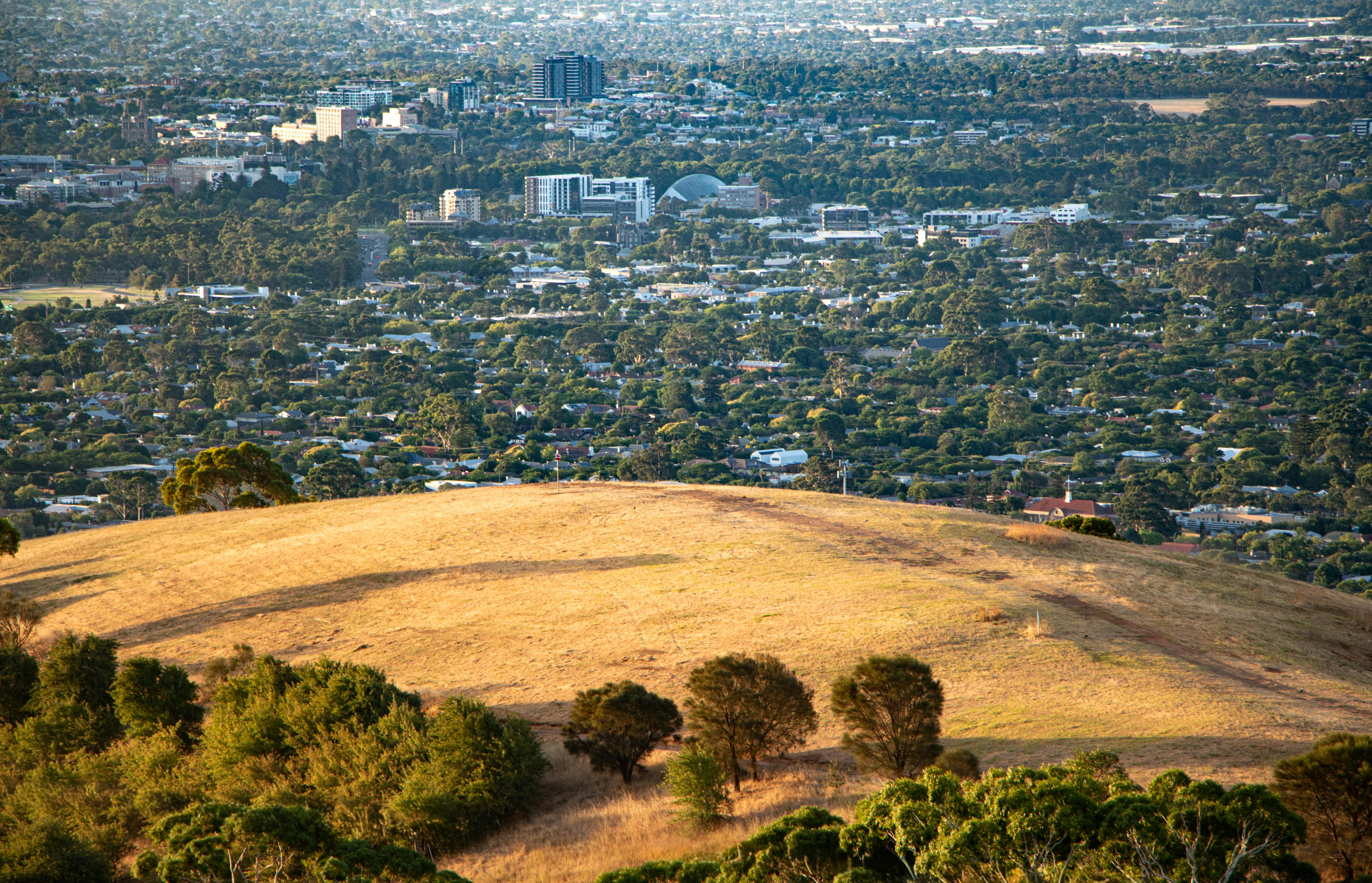 Hilltop view of Adelaide city skyline with lush trees and rolling hills in South Australia.