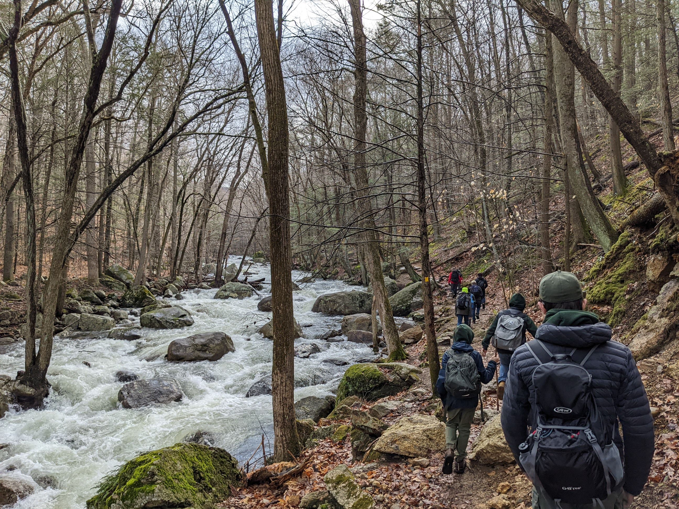 A group of hikers traversing a rocky trail beside a fast-flowing stream in a dense forest.