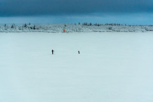 Two people walk across a vast snowy landscape with frosted trees under a dramatic sky.