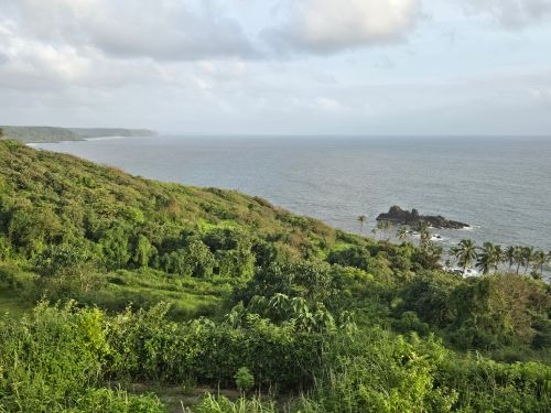 Free Scenic view of a tropical coastline with lush greenery extending to the ocean. Stock Photo