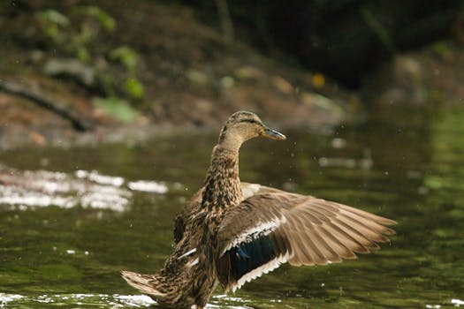 Weinsberg (Kernstadt)