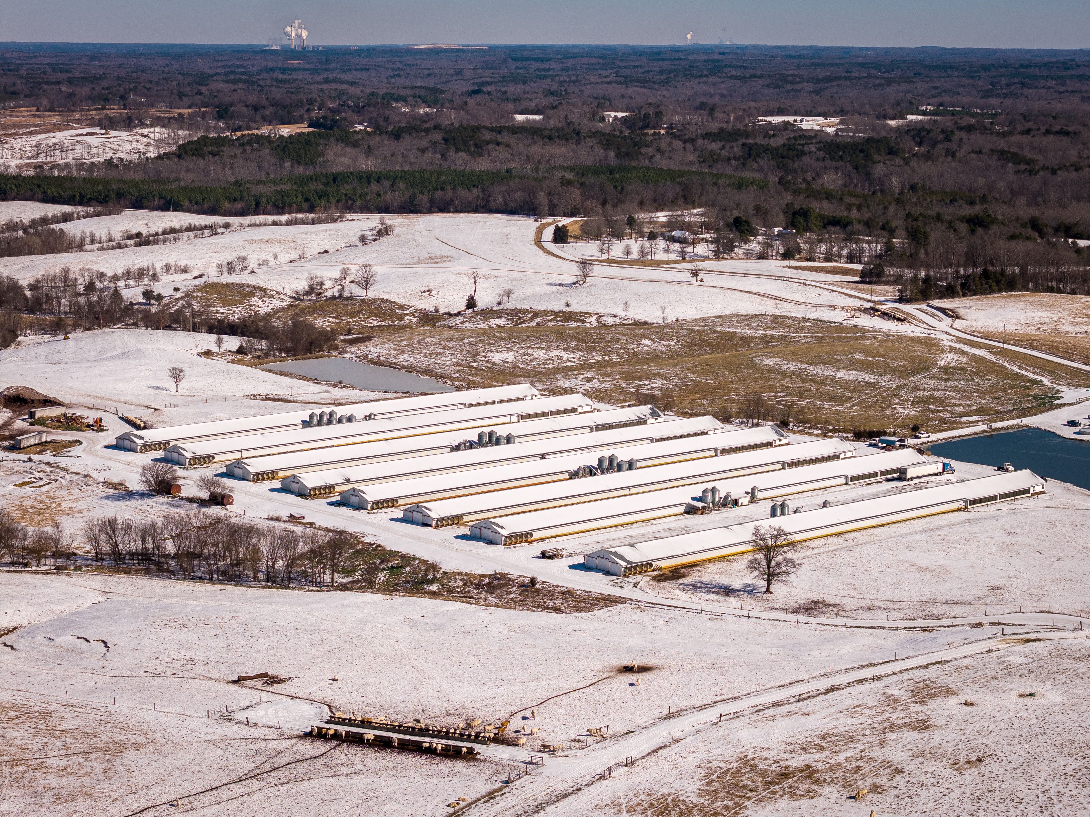 Aerial perspective of snow-covered poultry farms set in a rural landscape during wintertime.