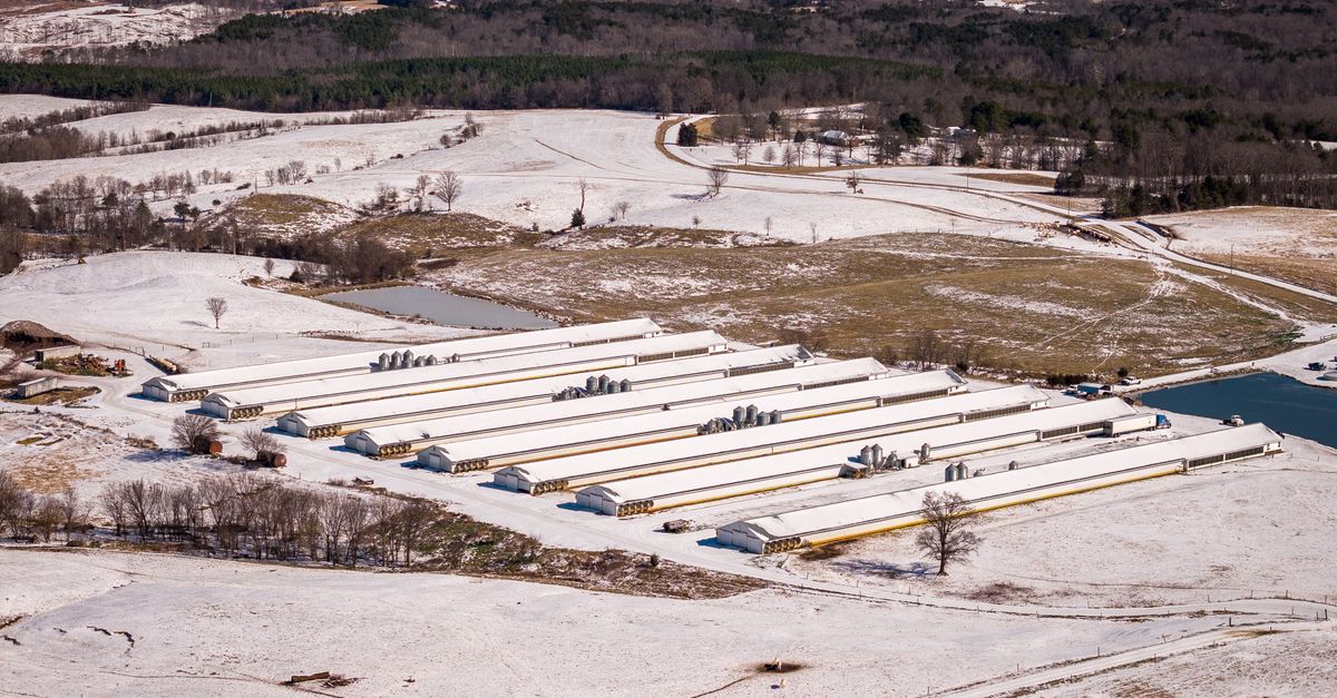 Aerial perspective of snow-covered poultry farms set in a rural landscape during wintertime.