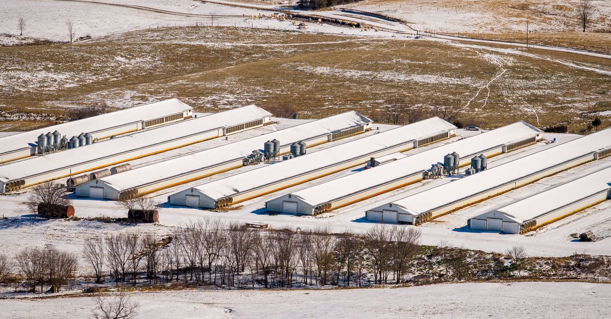 Aerial shot of farm structures covered in snow in a rural winter landscape.