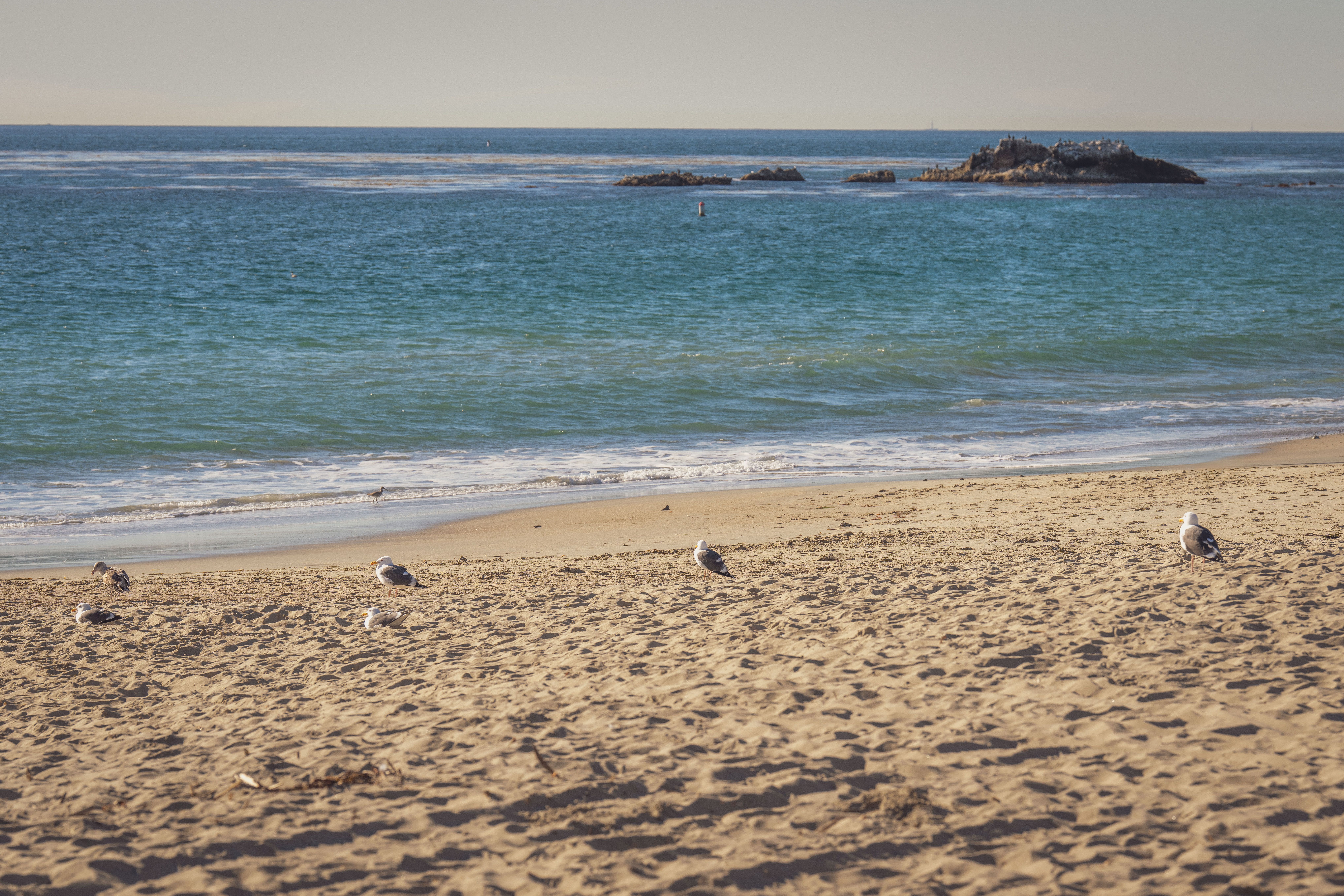 Fashion Island Newport Beach: A Realistic Budget Breakdown