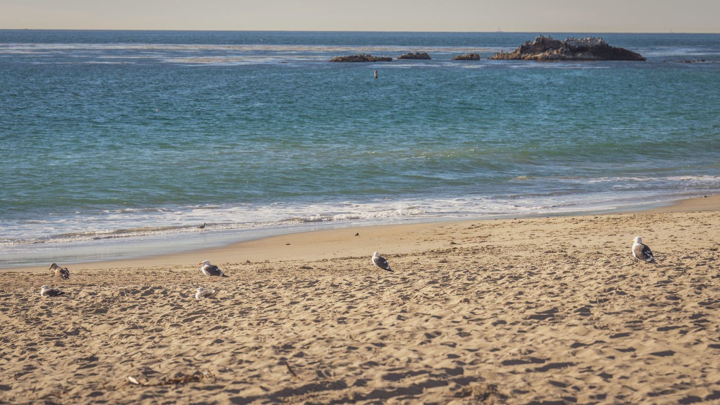 Fashion Island Newport Beach: A Realistic Budget Breakdown