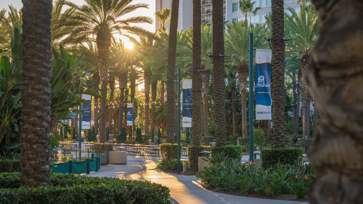 Top Anaheim, CA Holiday Giveaways With No Purchase Necessary: Safe Entry Guide