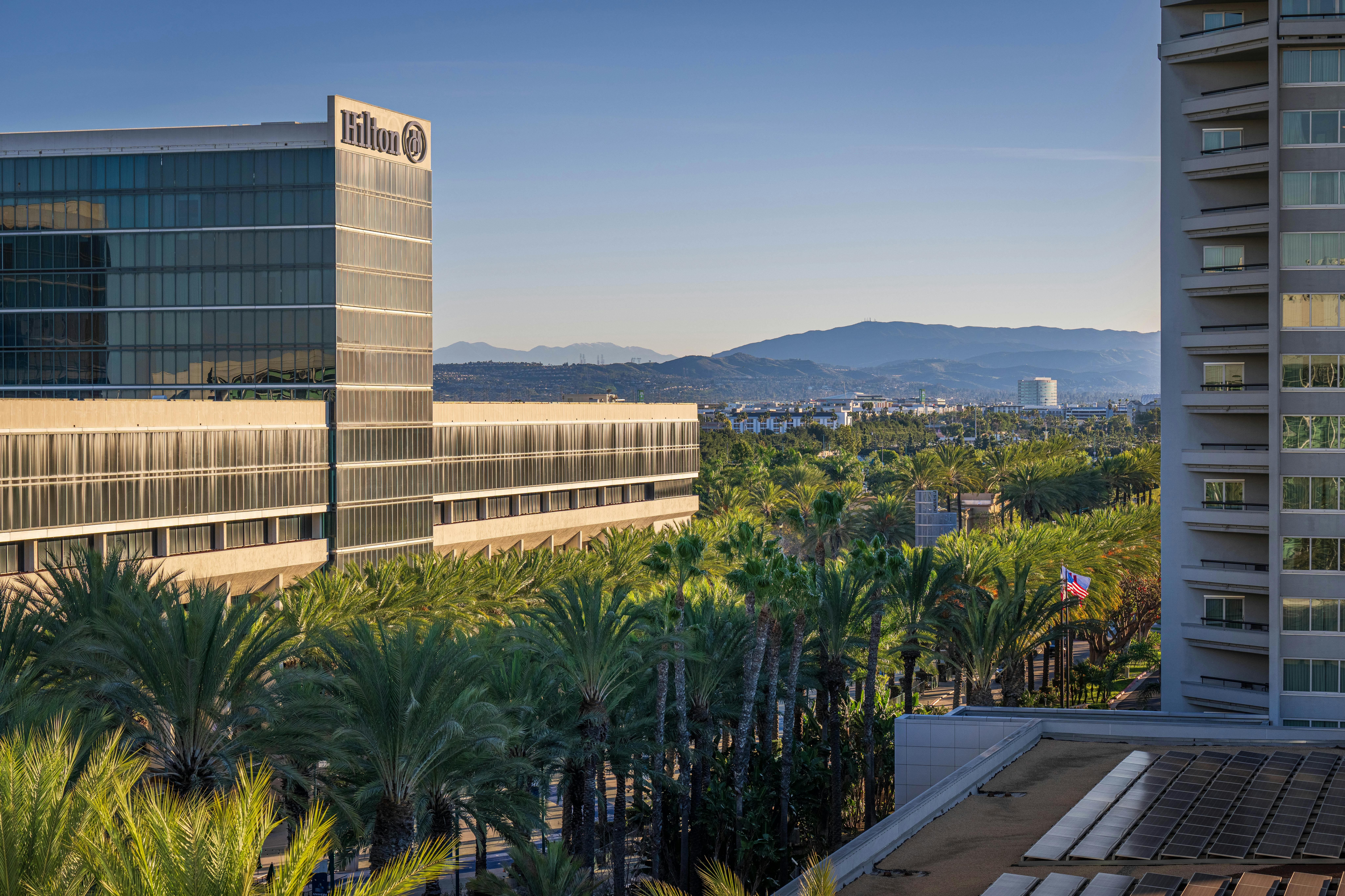 View of Hilton hotel surrounded by palm trees with mountains in the background at sunrise.