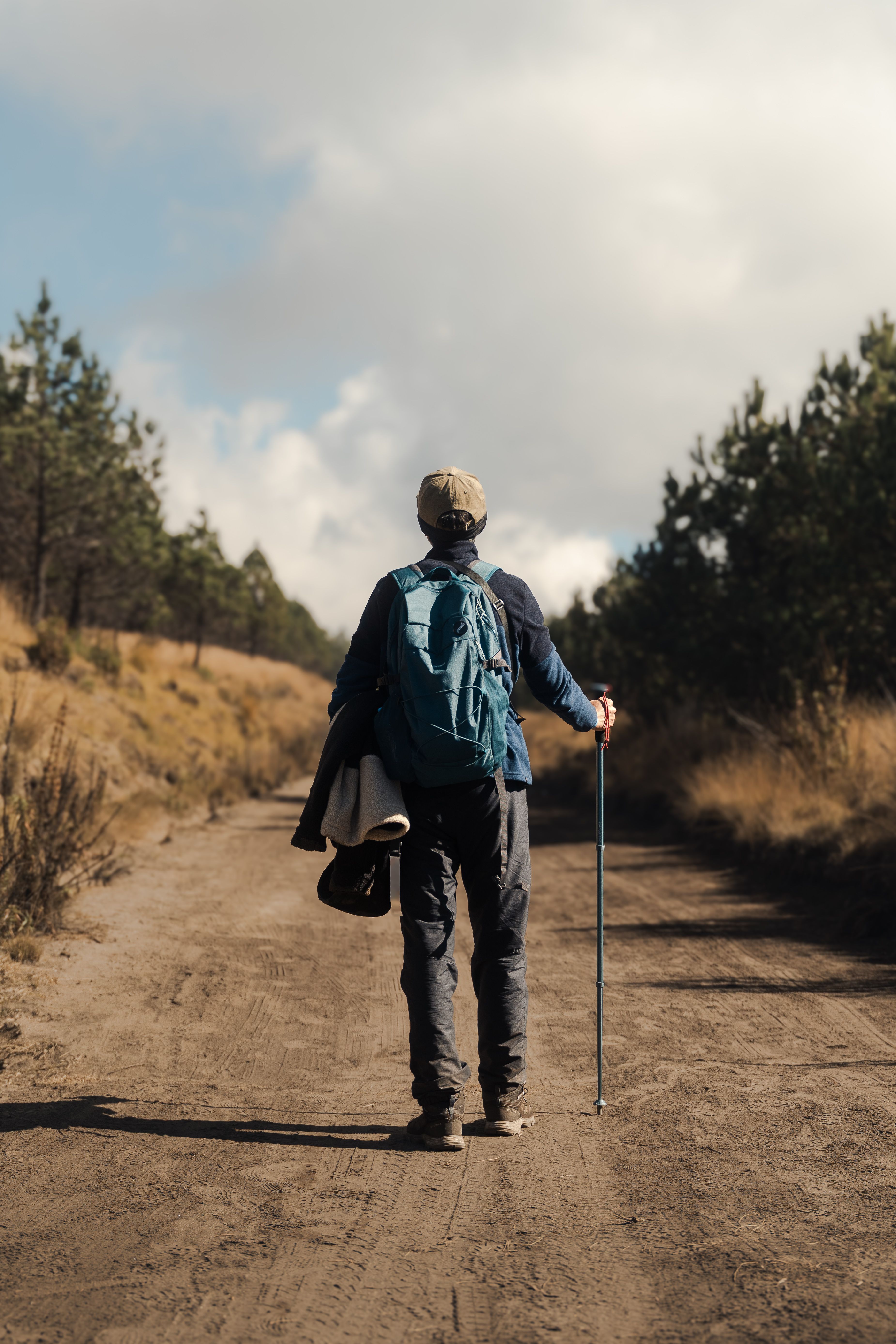 Man Walking On Pathway Between Green Trees · Free Stock Photo