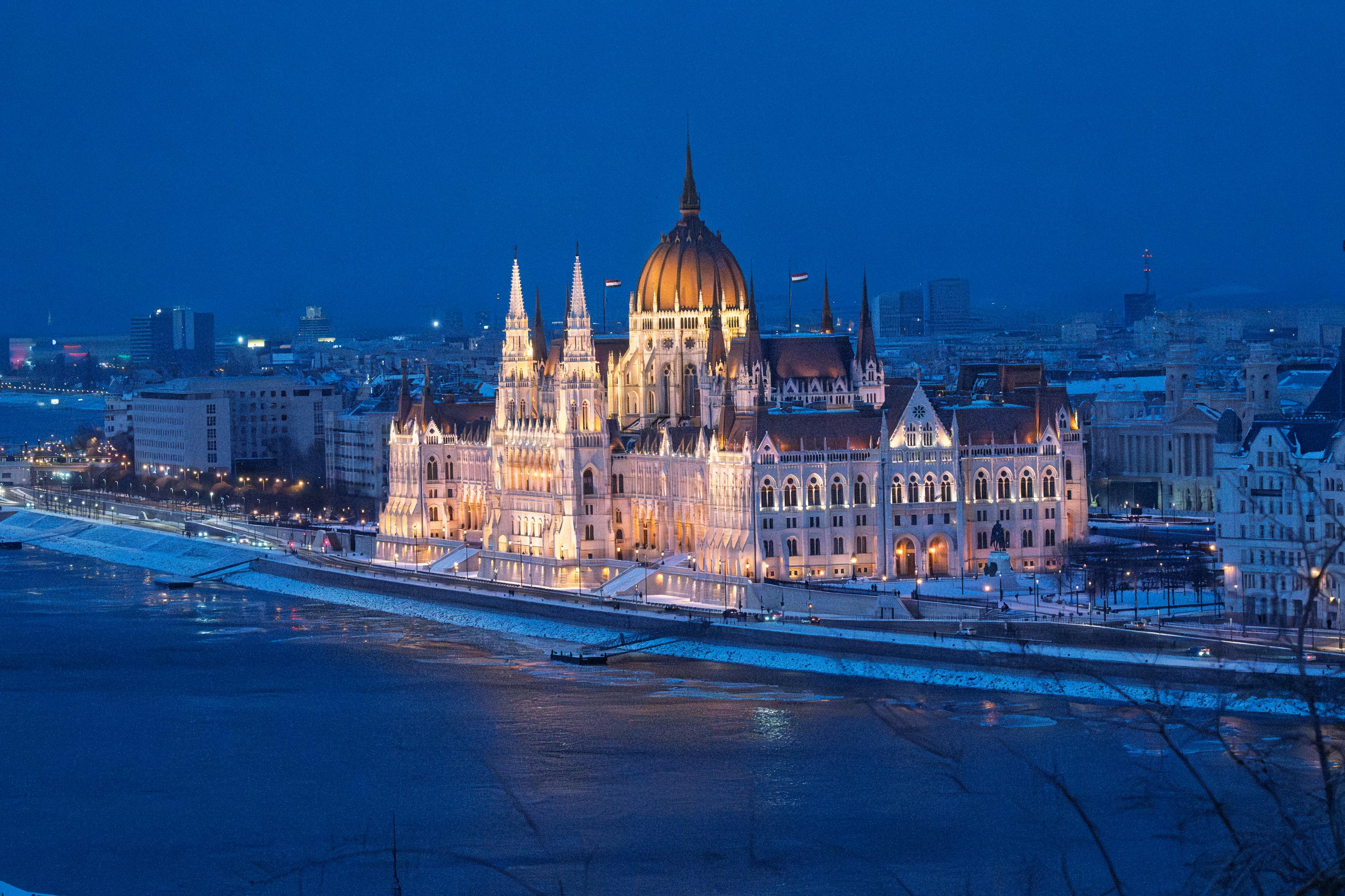 Public Reactions and Involvement