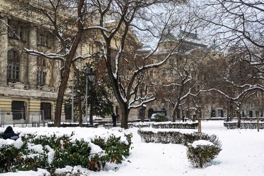 Idyllic winter scene in Budapest featuring a snowy park and historic architecture.