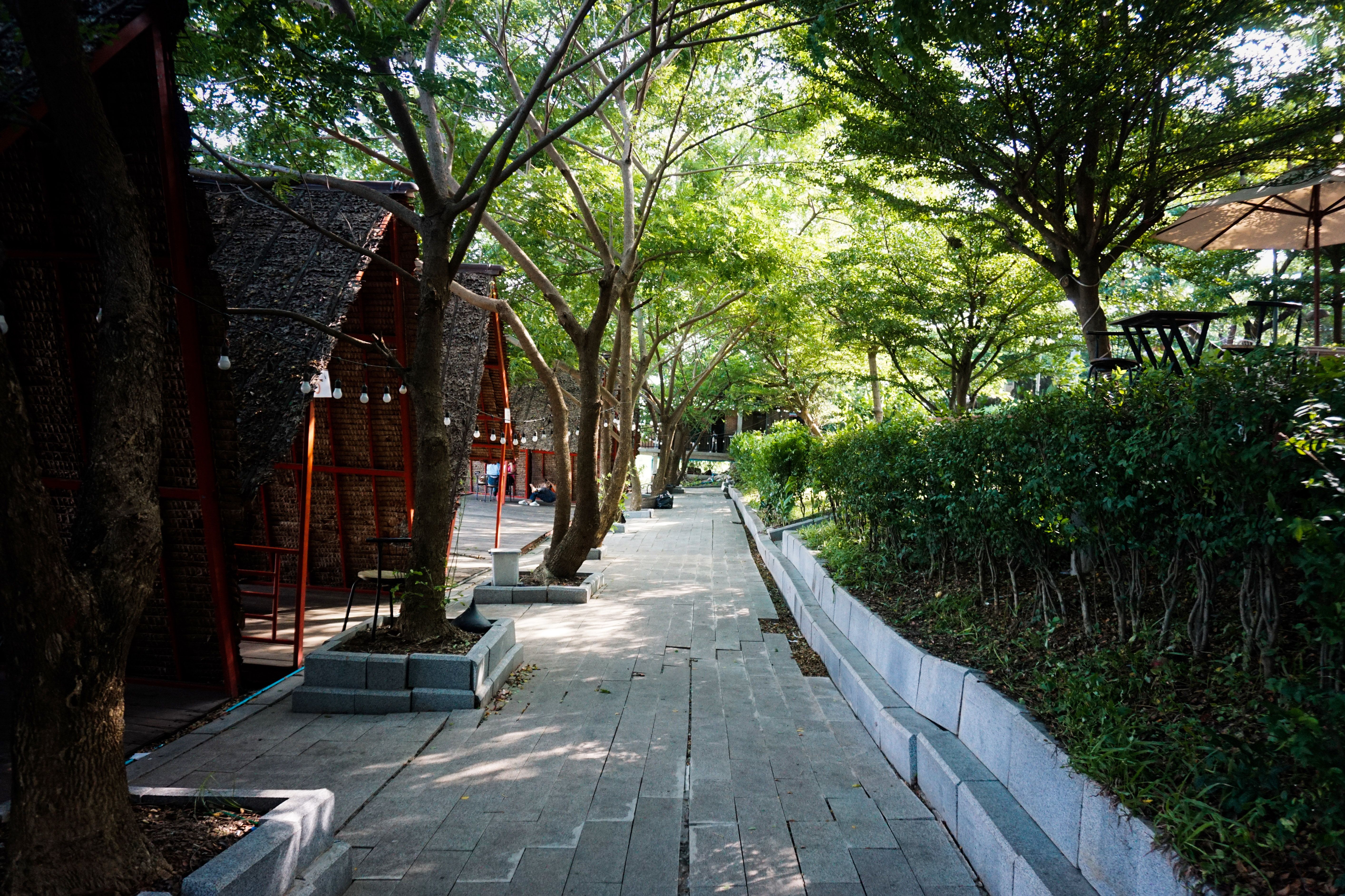 Serene Outdoor Cafe Path with Natural Shade · Free Stock Photo