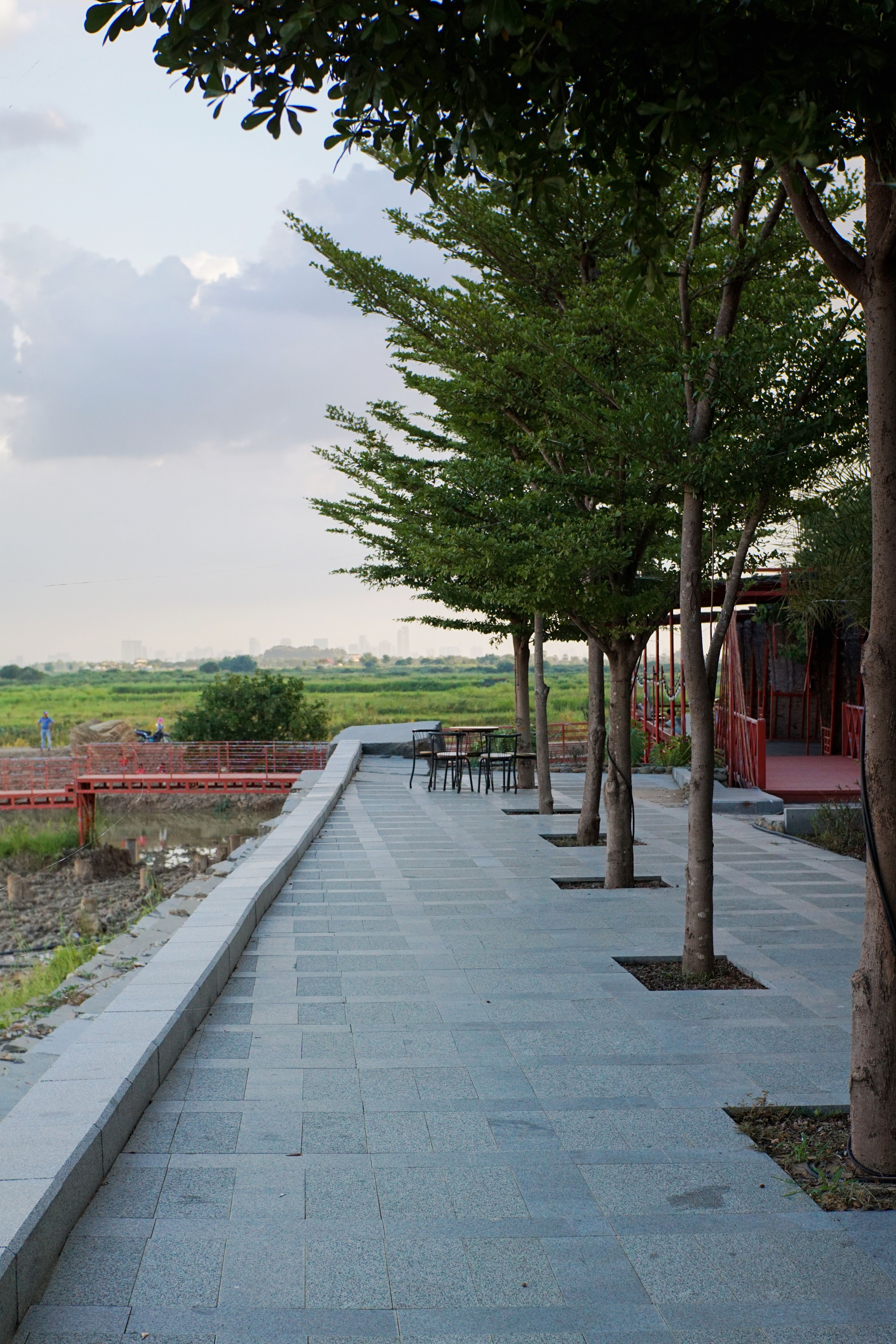 Scenic Riverside Pathway with Trees in Cambodia · Free Stock Photo