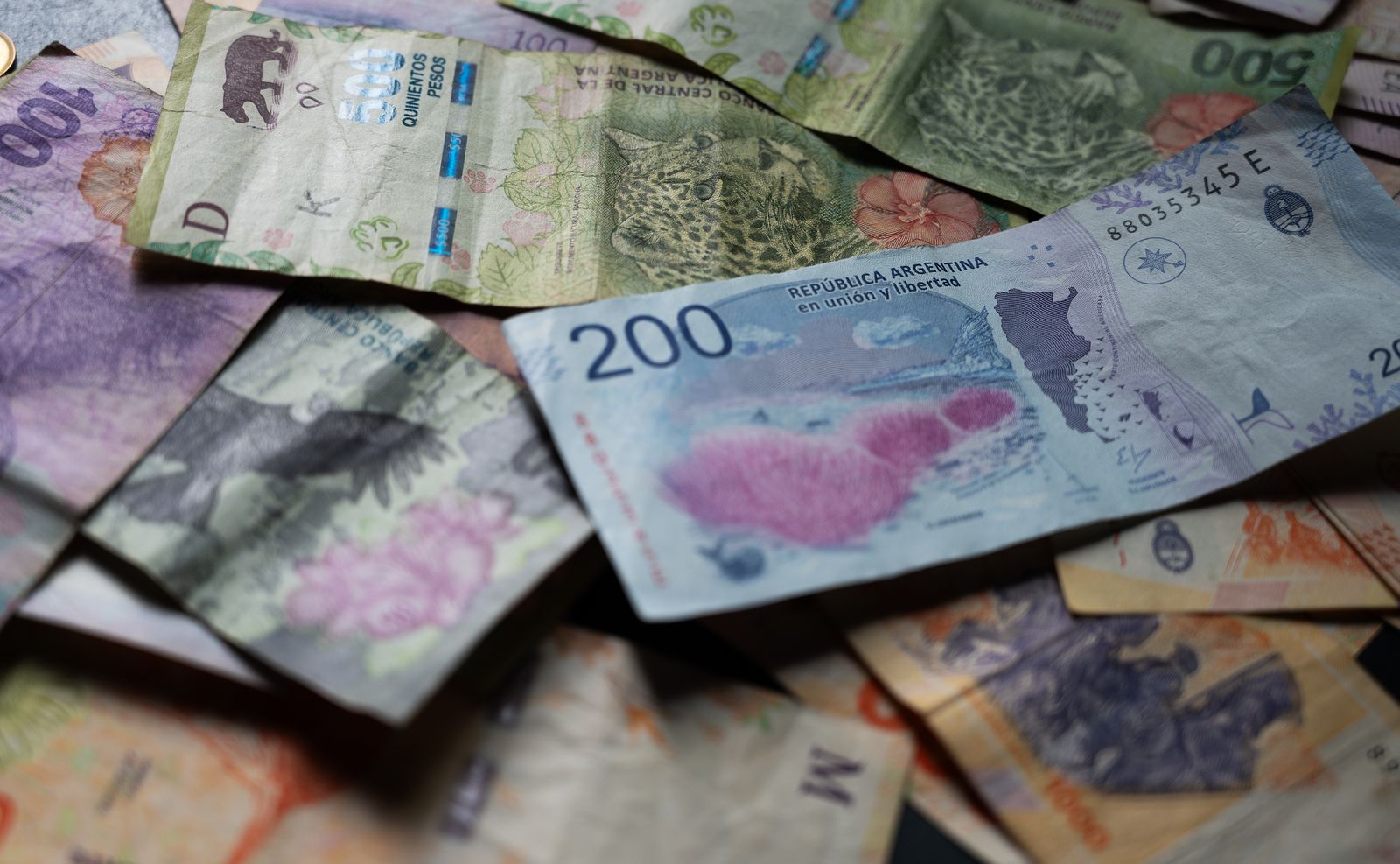 Close-up of Argentine pesos showcasing unique wildlife designs in Provincia de Buenos Aires.