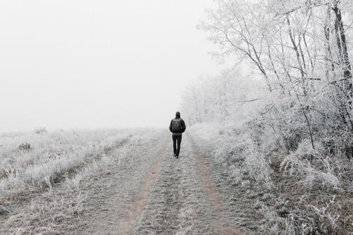 Free A lone hiker walks along a frosty trail in a winter forest in Budapest, Hungary. Stock Photo