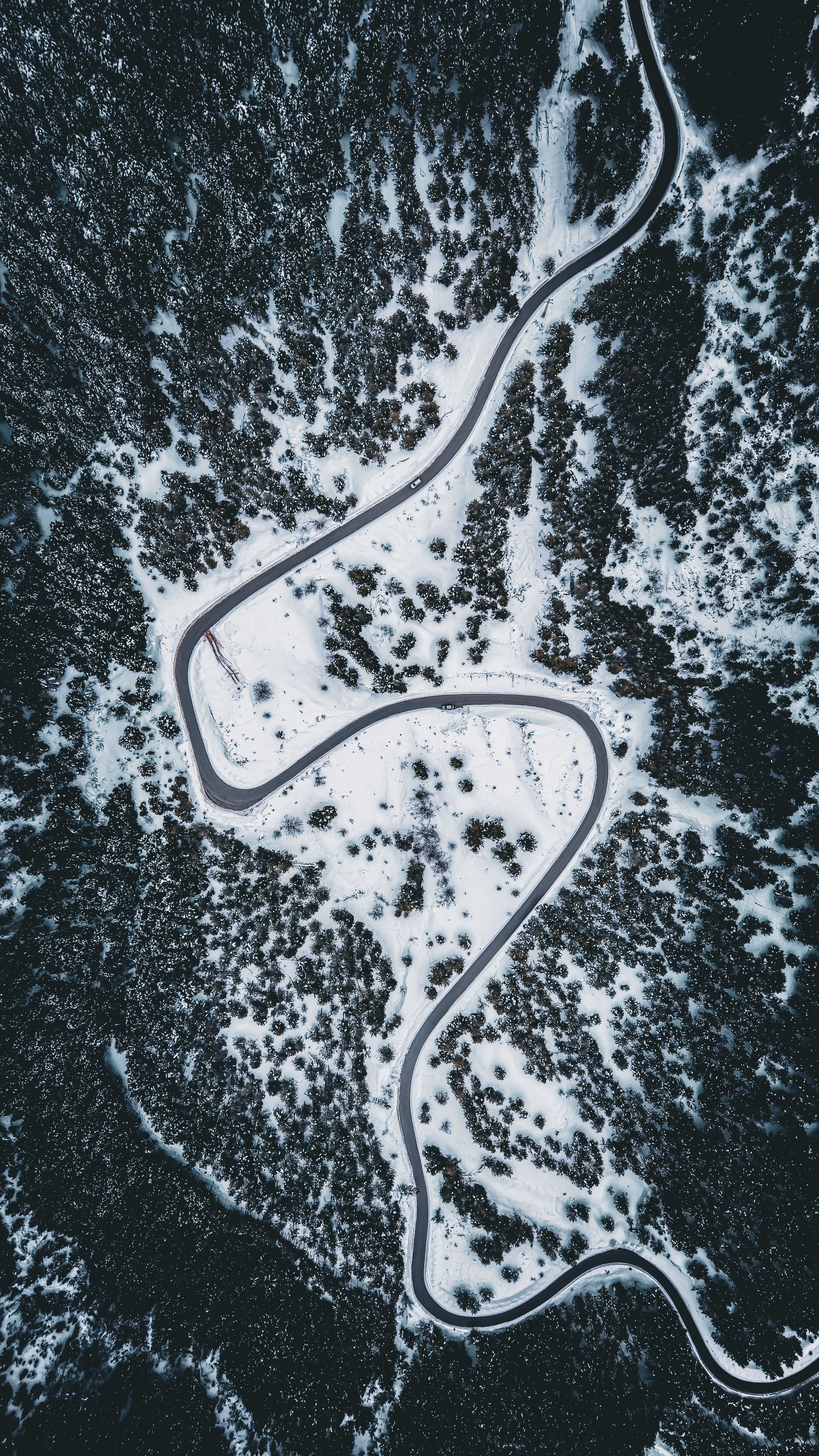 Winter Aerial View of Winding Road in Turkish Forest · Free Stock Photo