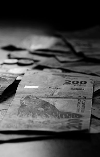 蝦皮招財小物怎麼挑?教你選出最適合的開運法寶 蝦皮招財小物怎麼挑?教你選出最適合的開運法寶