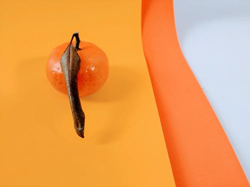Imagine de stoc gratuită din fruct, minimalist, portocală