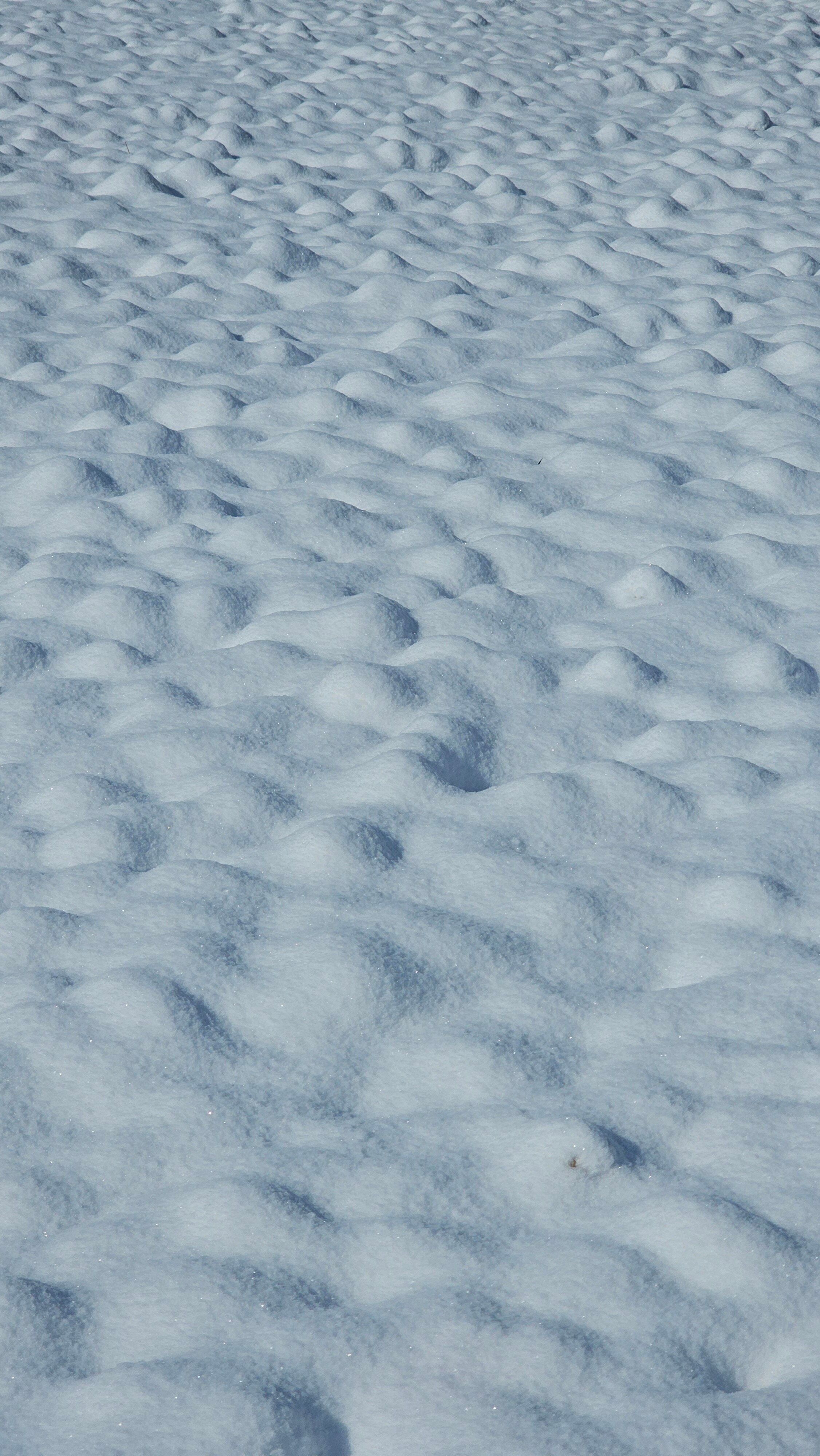 Snow Texture Photos, Download The BEST Free Snow Texture Stock Photos ...