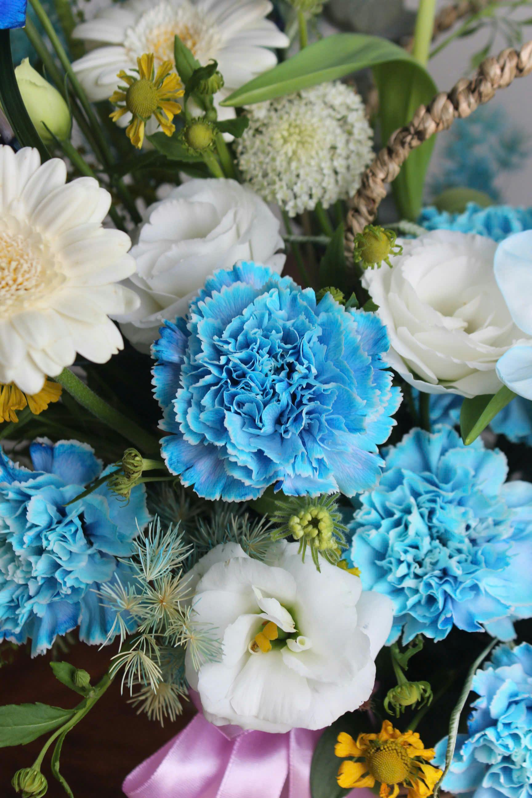 [ColoSach]-a-colorful-assortment-of-blue-carnations-and-white-flowers-in-a-lively-bouquet.