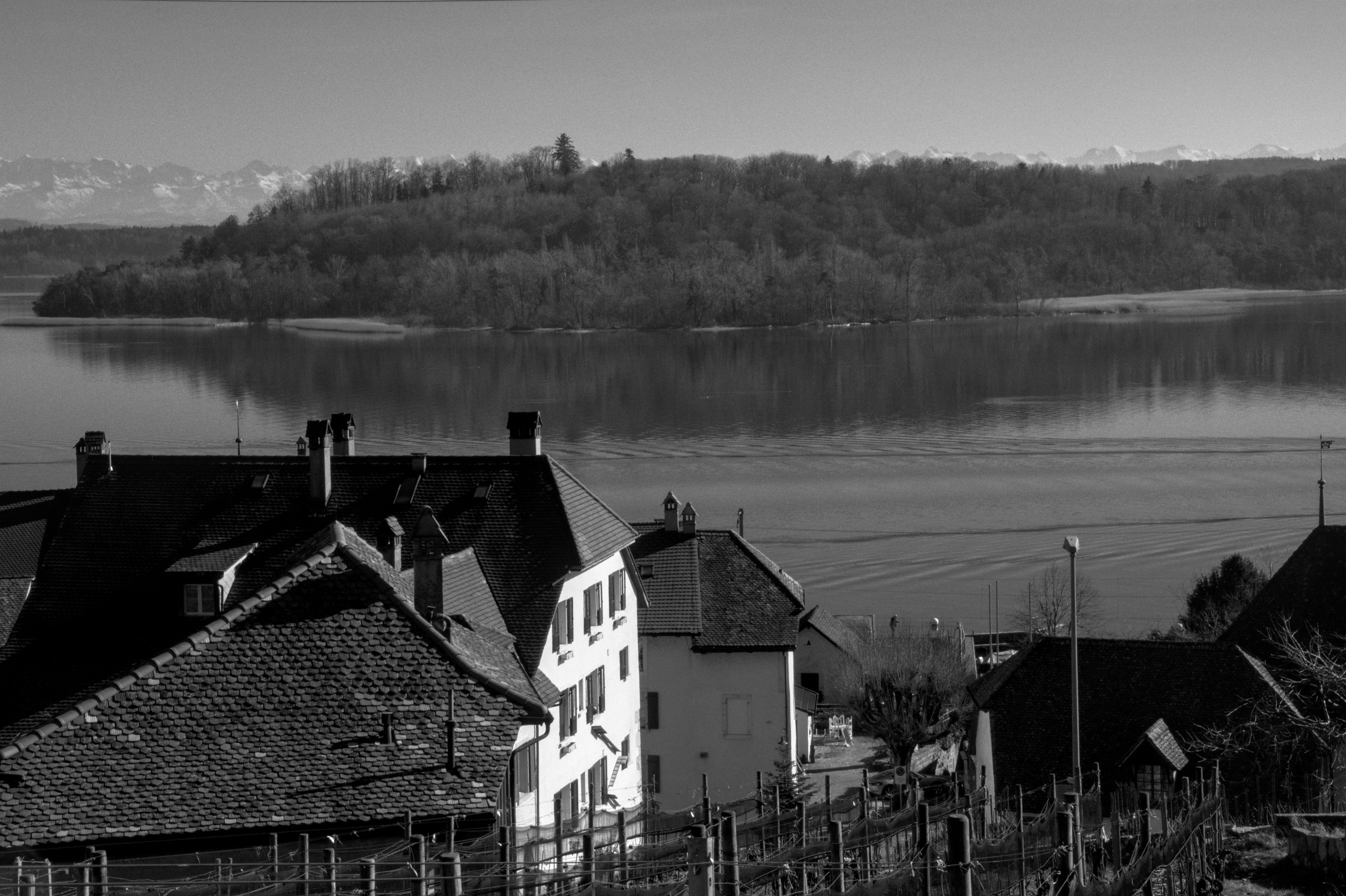 Black and white image of a picturesque village by a serene lake.