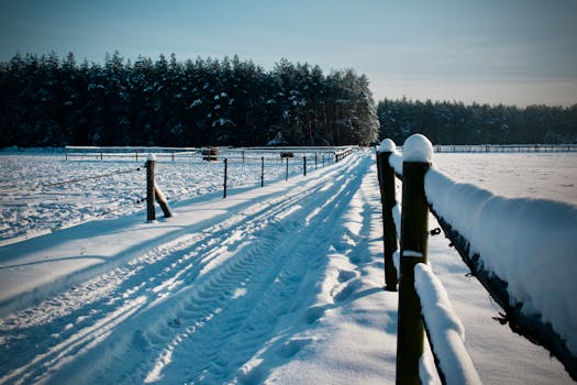 A serene winter scene featuring a snow-covered pathway and fences leading to snowy forest.