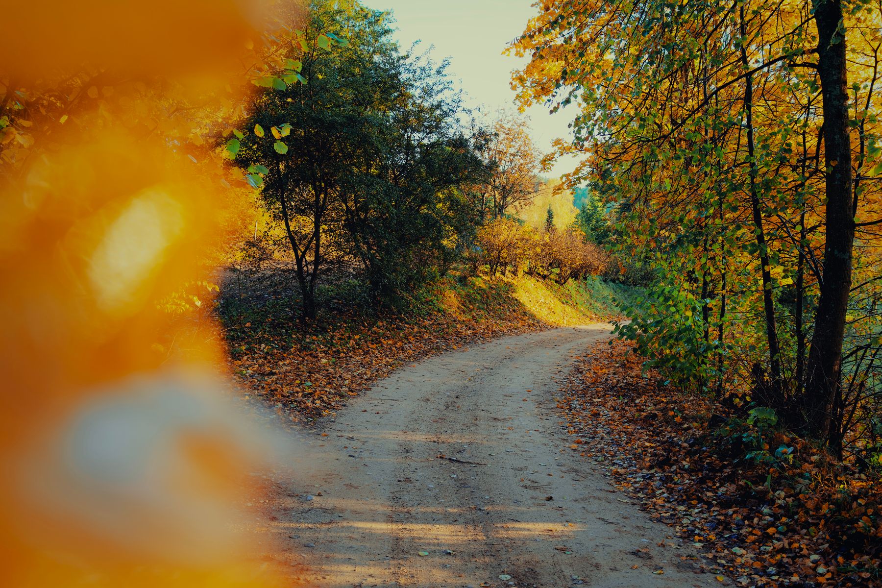 Autumn in Portland, Tennessee: Walks, Food and Stays