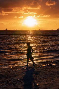 A person silhouetted against a vibrant sunset on a beach with waves crashing.