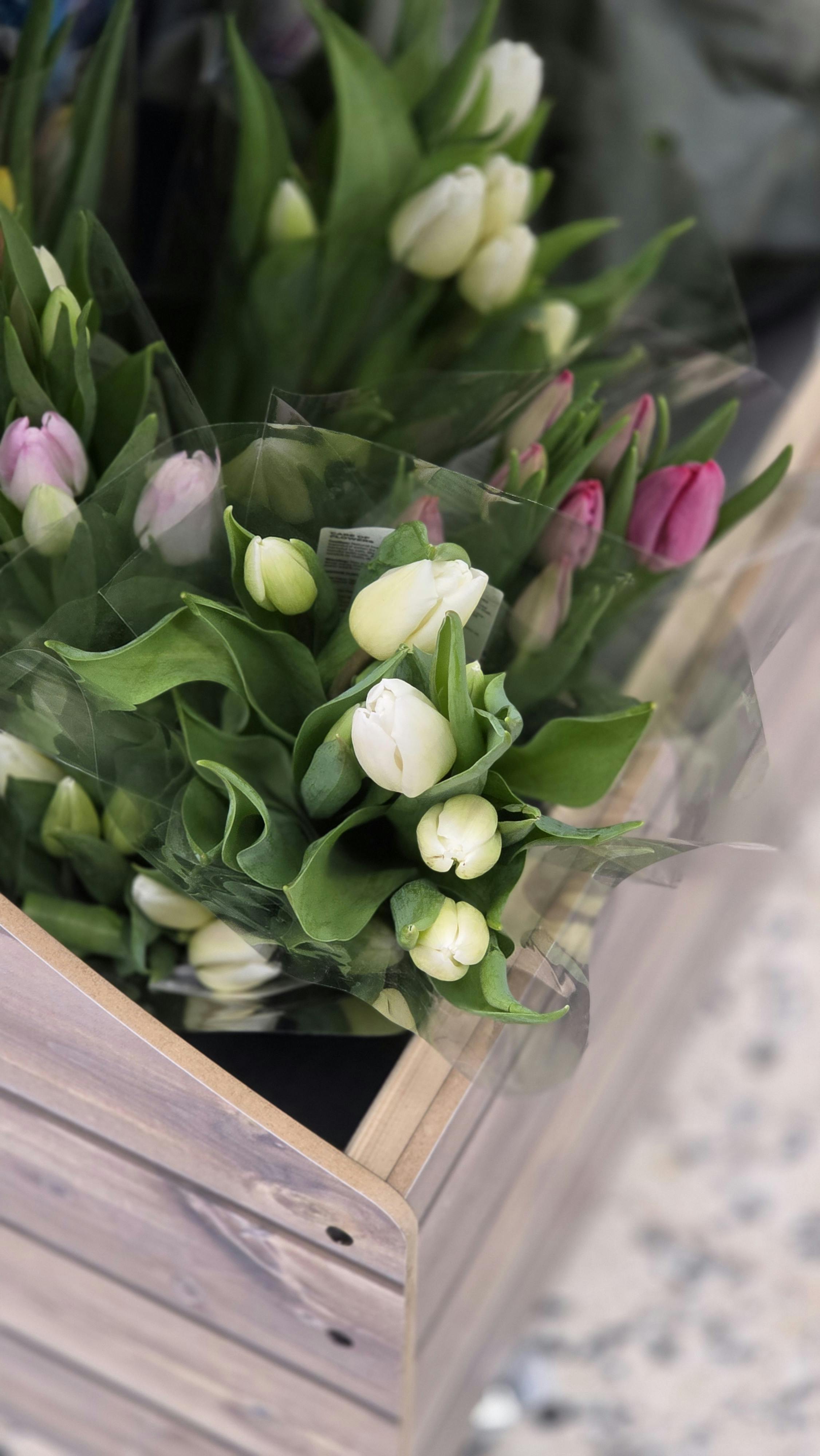 [ColoSach]-vibrant-tulip-bouquets-in-a-wooden-crate,-perfect-for-floral-decor-and-arrangements.