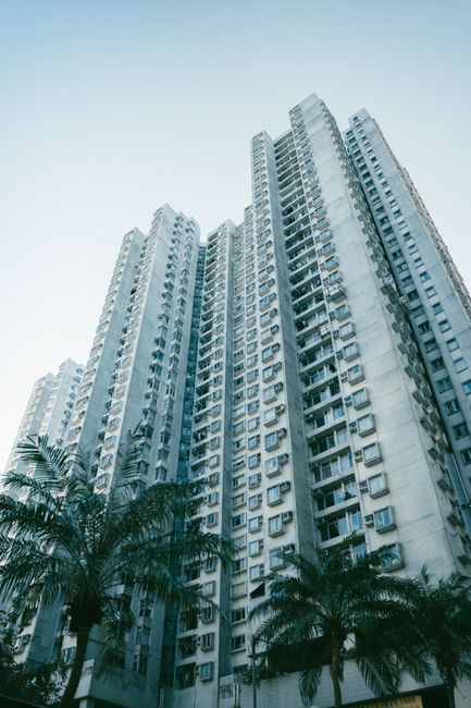 View of a towering high-rise building with palm trees on a clear day, highlighting urban architecture.