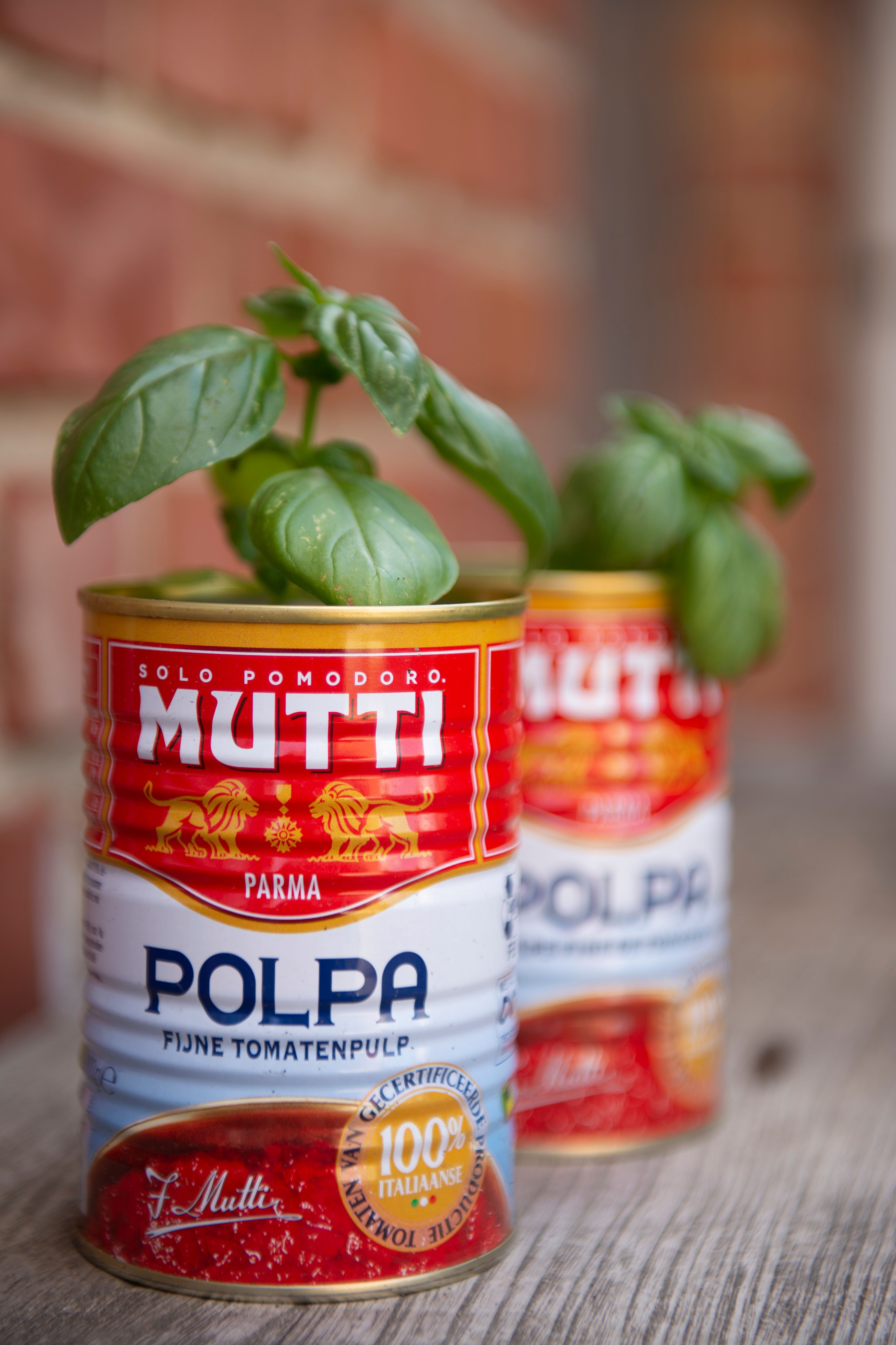Winter Sowing Upcycled Containers