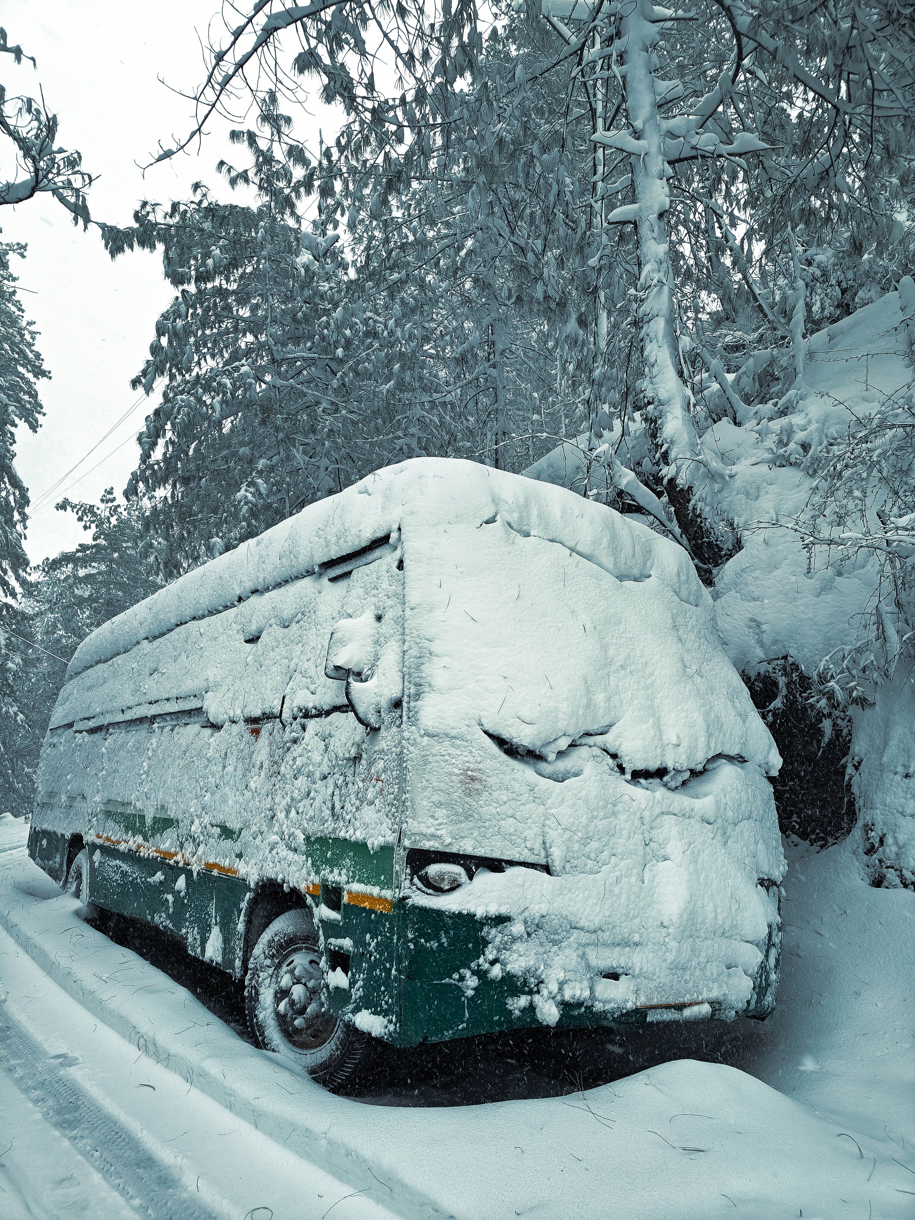 Snow-Covered Bus in a Winter Forest Setting · Free Stock Photo